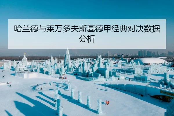 哈兰德与莱万多夫斯基德甲经典对决数据分析