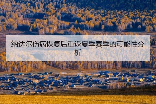 na-da-er-shang-bing-hui-fu-hou-chong-fan-xia-ji-sai-ji-de-ke-neng-xing-fen-xi-2-821.jpg