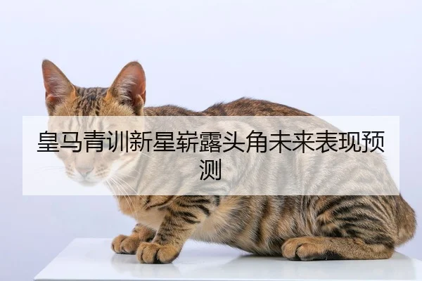 皇马青训新星崭露头角未来表现预测